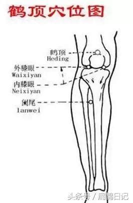 鶴頂穴位置|鶴頂